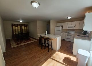 BrownHouseintheWoods3